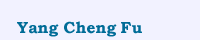 Yang Cheng Fu