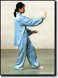 Gaojia Min (World Taijiquan Champion)
