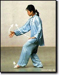 Gaojia Min (World Taijiquan Champion)