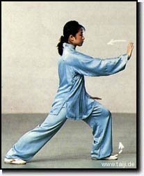 Gaojia Min (World Taijiquan Champion)