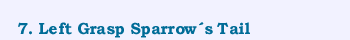 7. Left Grasp Sparrow�s Tail