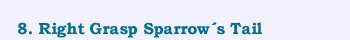 8. Right Grasp Sparrow�s Tail
